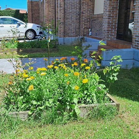 فيلا Casa Grande Con Jardin سانتا كروز دي بيزانا المظهر الخارجي الصورة
